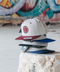 Skate of Mind – Snapback